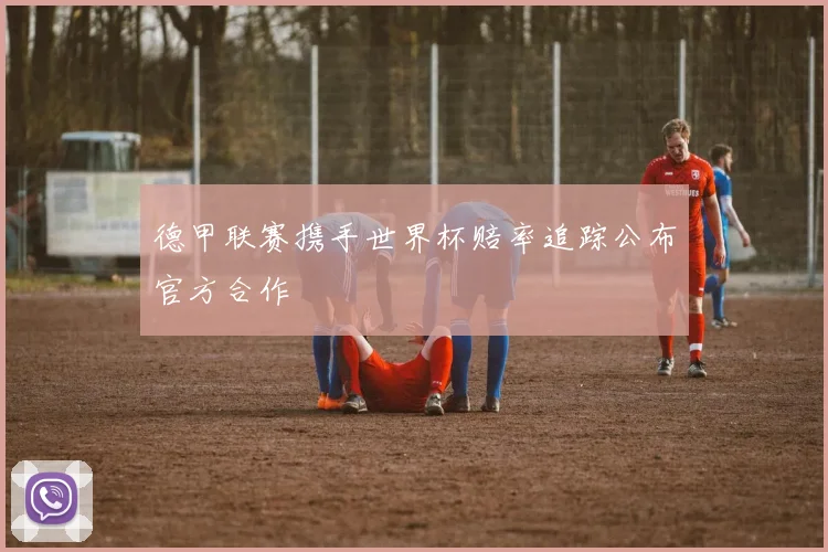 德甲联赛携手世界杯赔率追踪公布官方合作