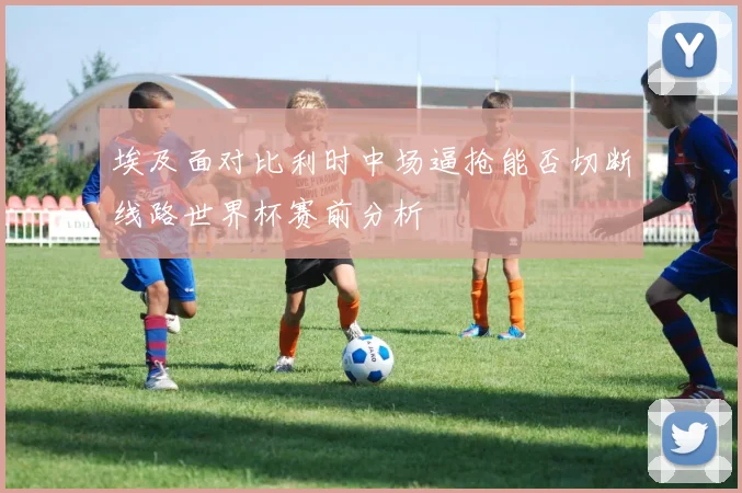 埃及面对比利时中场逼抢能否切断线路世界杯赛前分析