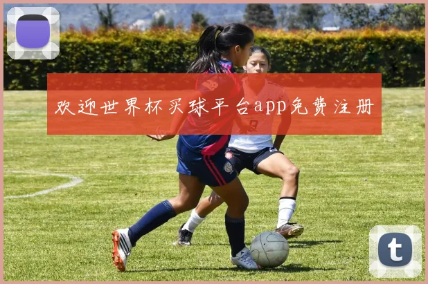 欢迎世界杯买球平台app免费注册