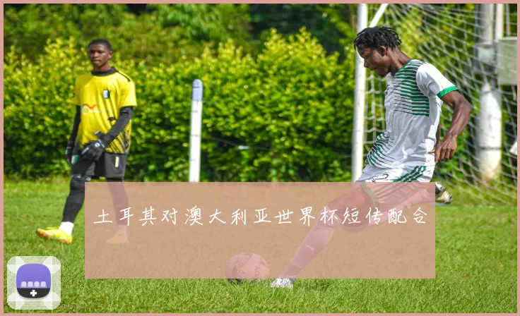 土耳其对澳大利亚世界杯短传配合