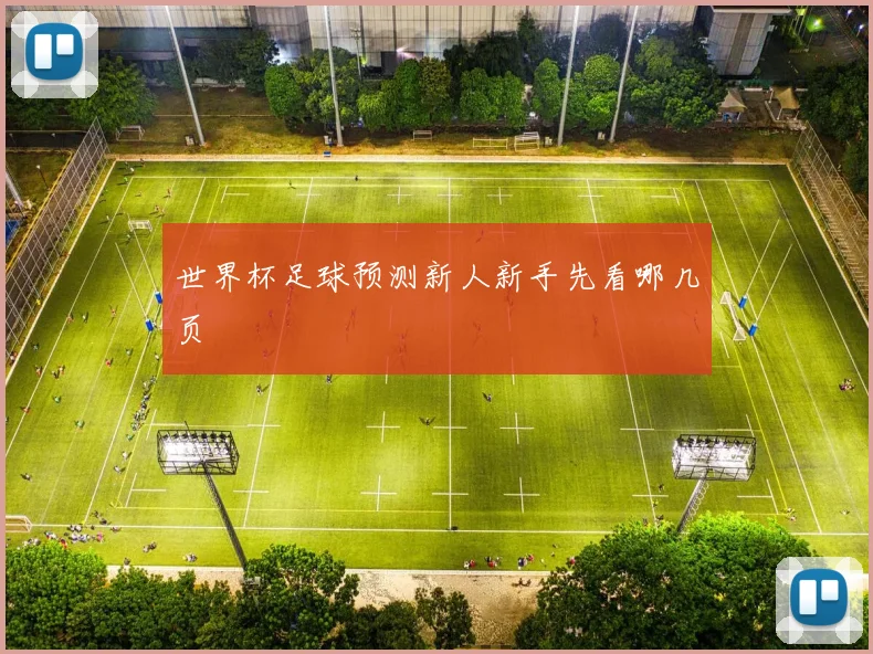 世界杯足球预测新人新手先看哪几页